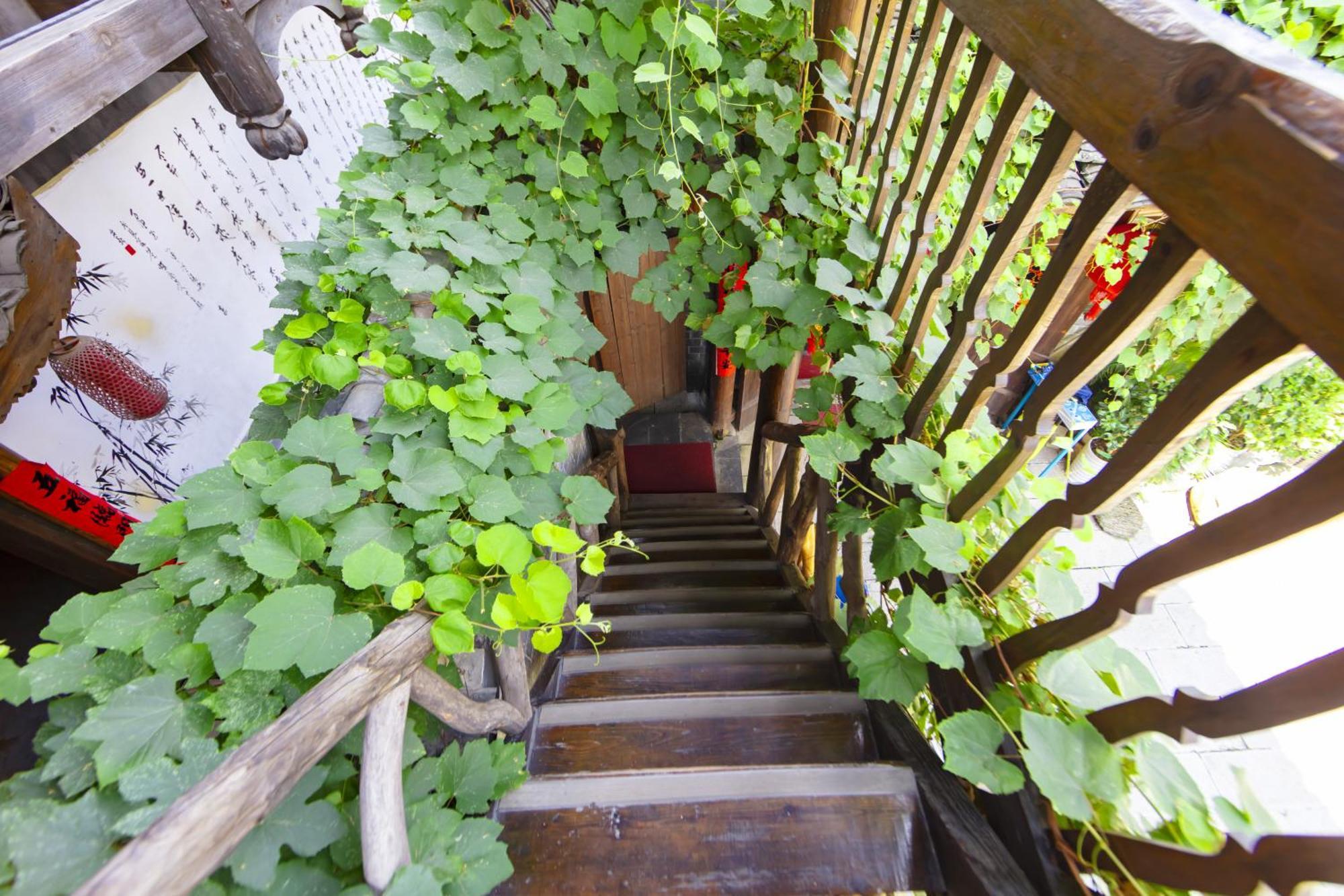 Butterfly Flowers Inn Zhangjiajie Zewnętrze zdjęcie